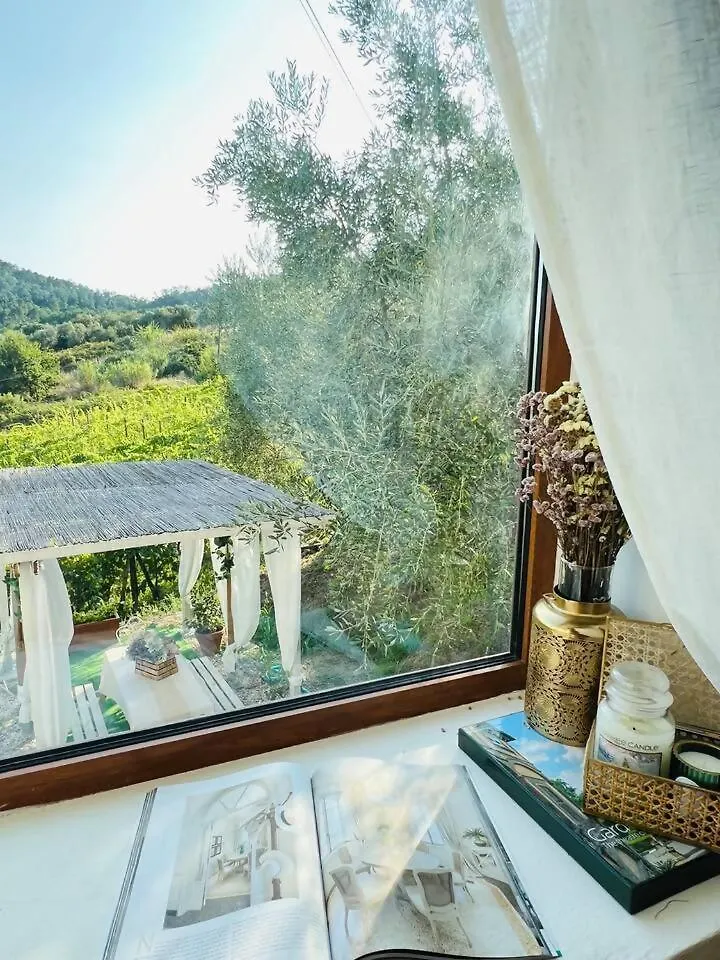 Cottage Lucca In Love Cappella 0*,  Italien